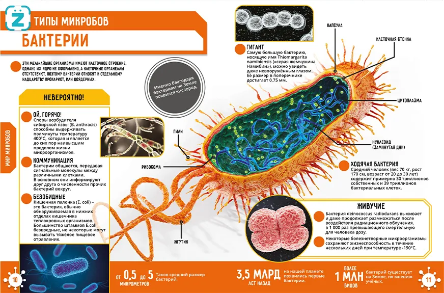 Microcosm. 250 Incredible Facts