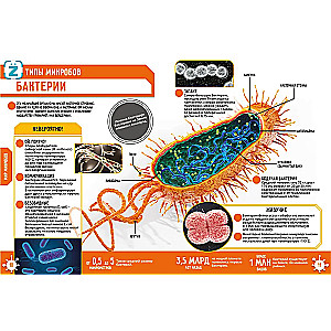 Microcosm. 250 Incredible Facts