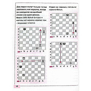 Teach me how to play chess!