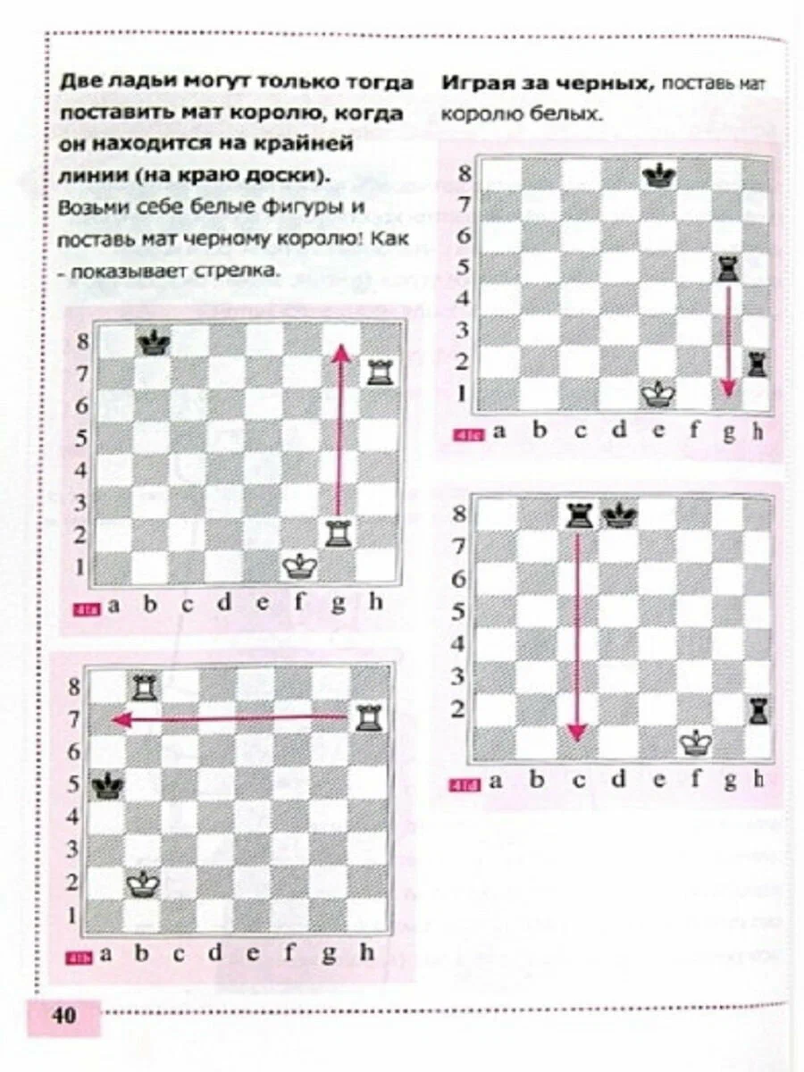 Teach me how to play chess!