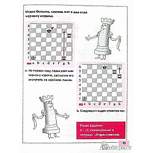 Teach me how to play chess!