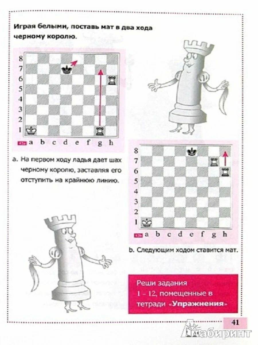Teach me how to play chess!