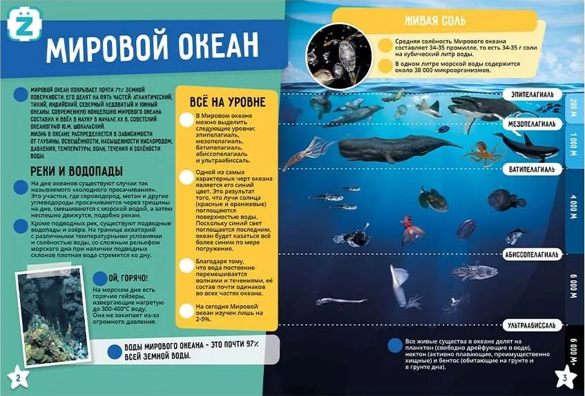 The World Ocean. Incredible Facts