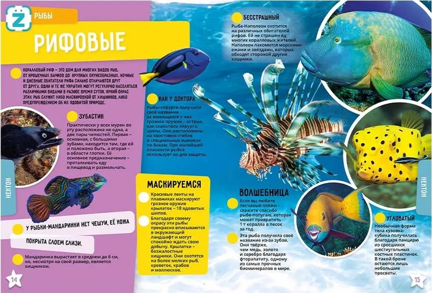 The World Ocean. Incredible Facts