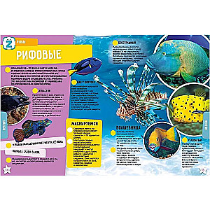 The World Ocean. Incredible Facts