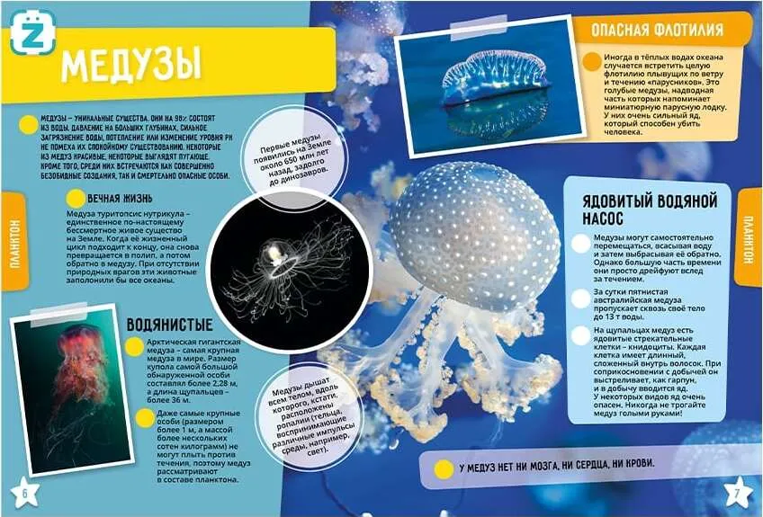 The World Ocean. Incredible Facts