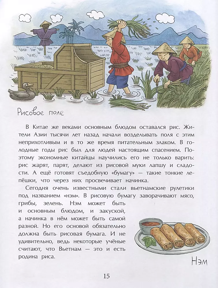 Food of the World
