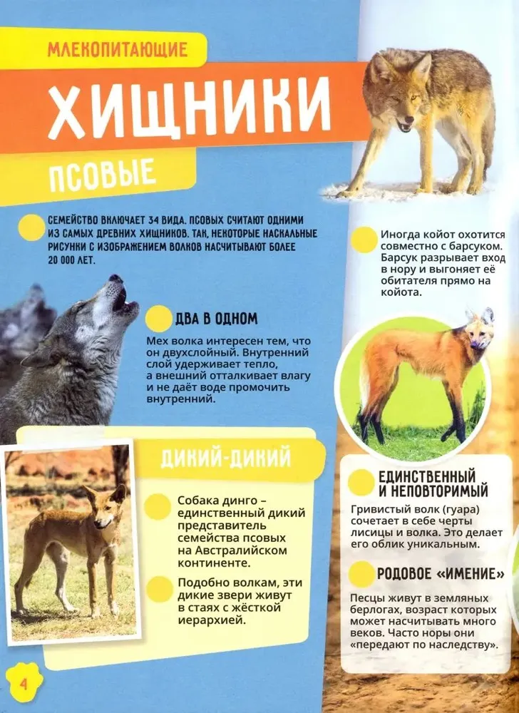 Animals. Incredible Facts