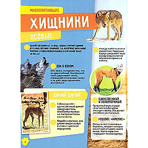 Animals. Incredible Facts