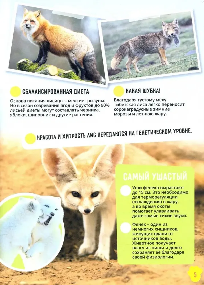 Animals. Incredible Facts