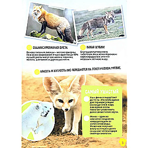 Animals. Incredible Facts