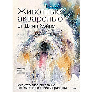 Animals in Watercolor by Jean Haines. Meditative Drawing for Connection with Yourself and Nature