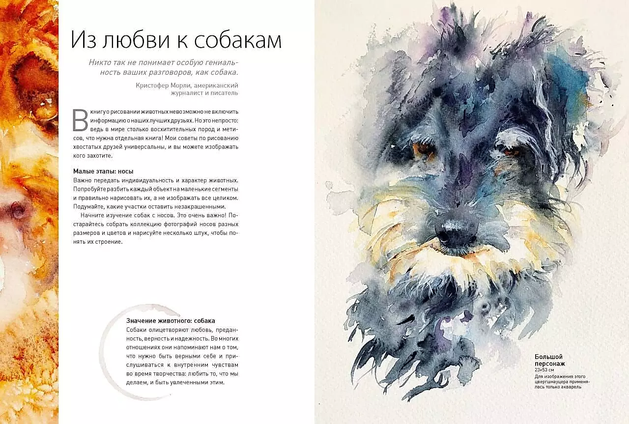 Animals in Watercolor by Jean Haines. Meditative Drawing for Connection with Yourself and Nature