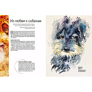 Animals in Watercolor by Jean Haines. Meditative Drawing for Connection with Yourself and Nature