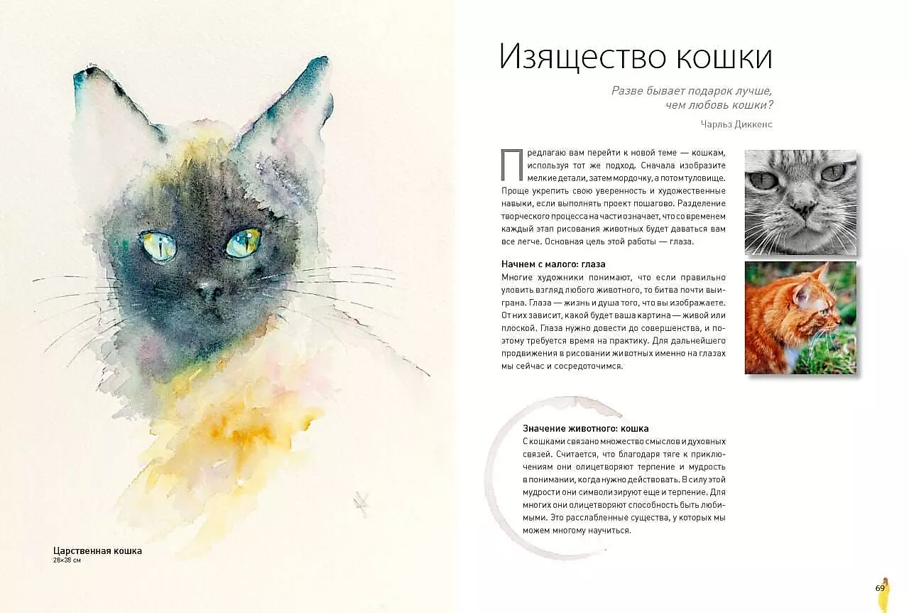 Animals in Watercolor by Jean Haines. Meditative Drawing for Connection with Yourself and Nature