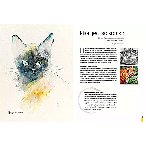 Animals in Watercolor by Jean Haines. Meditative Drawing for Connection with Yourself and Nature