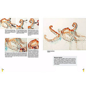 Animals in Watercolor by Jean Haines. Meditative Drawing for Connection with Yourself and Nature
