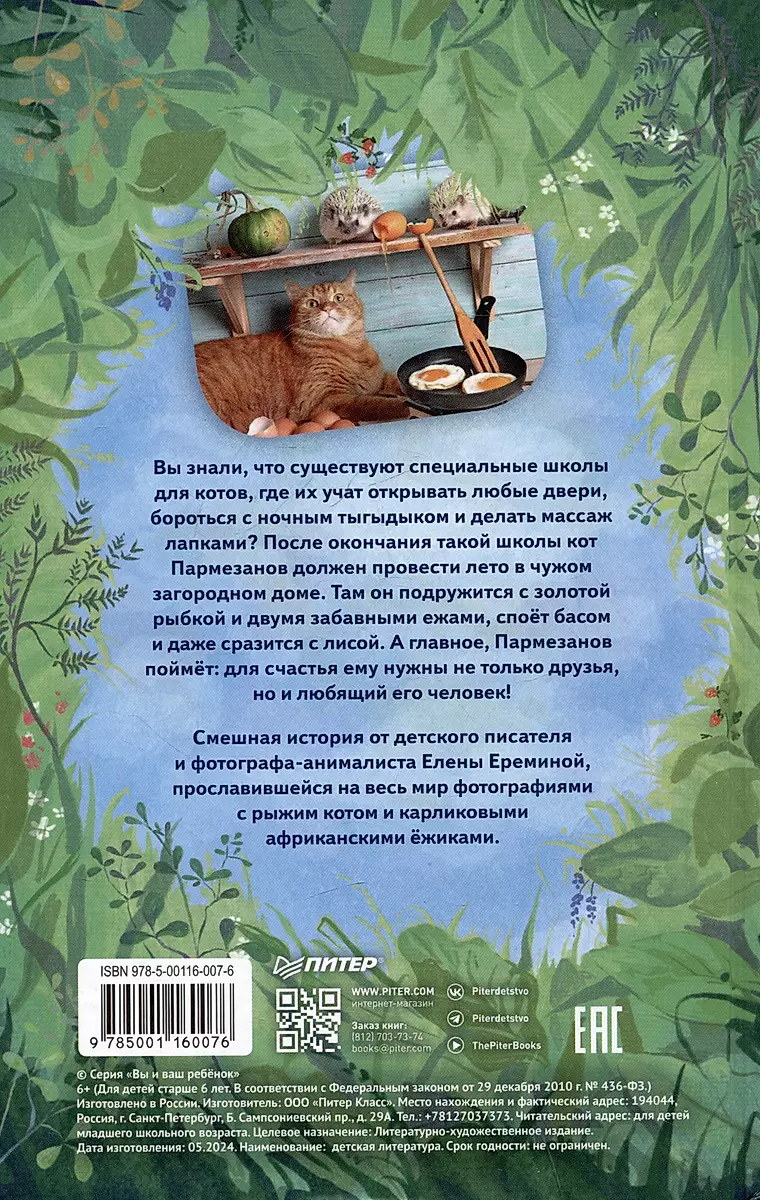The Summer of Parmesan Cat