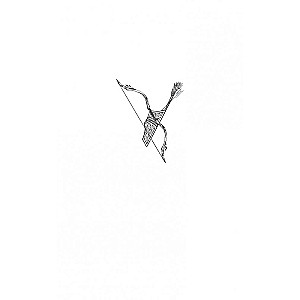 The Bird