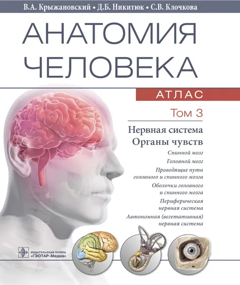 Anatomia człowieka. Atlas w 3 tomach. Tom 3. Układ nerwowy. Narządy zmysłów