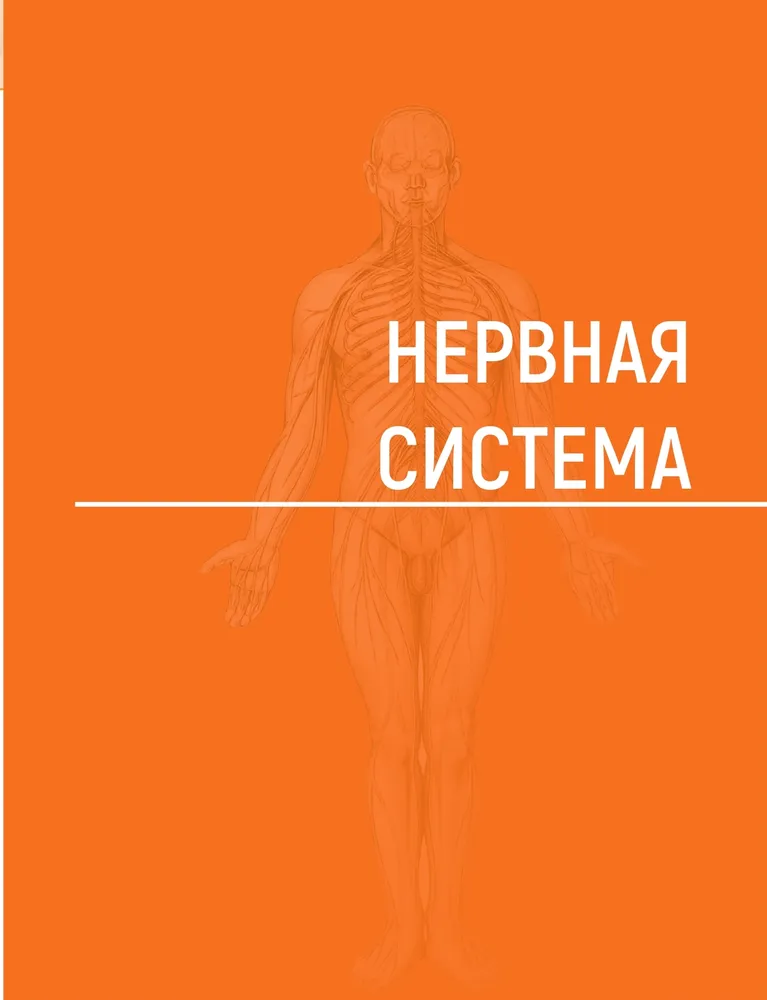 Human Anatomy. Atlas in 3 Volumes. Volume 3. Nervous System. Sensory Organs