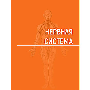 Human Anatomy. Atlas in 3 Volumes. Volume 3. Nervous System. Sensory Organs