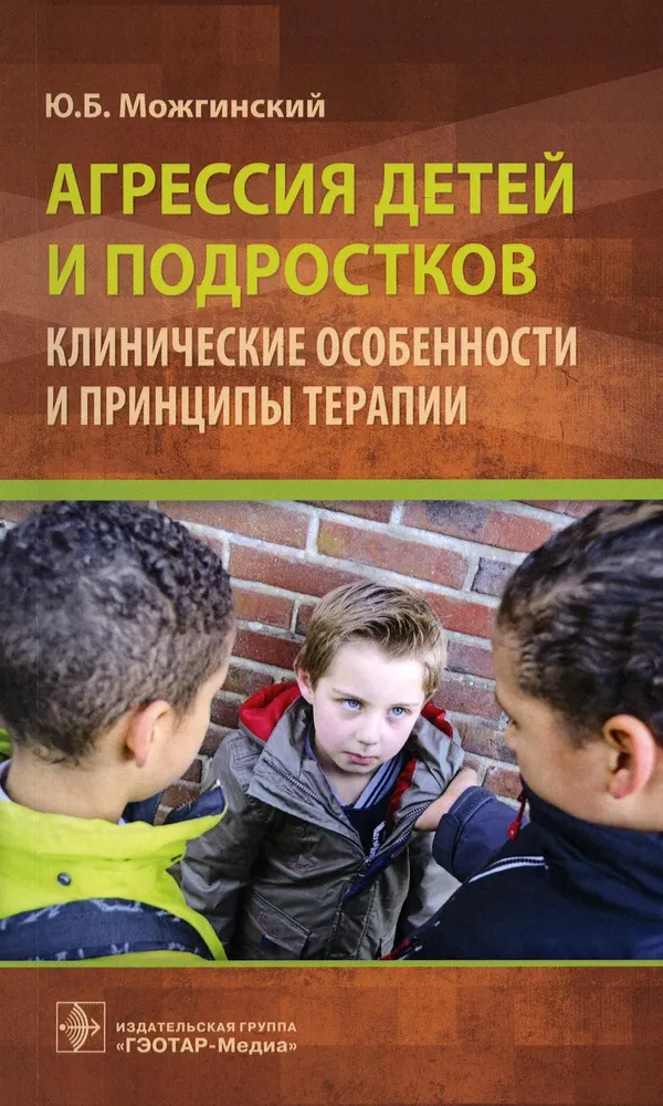 Aggression in Children and Adolescents: Clinical Features and Principles of Therapy