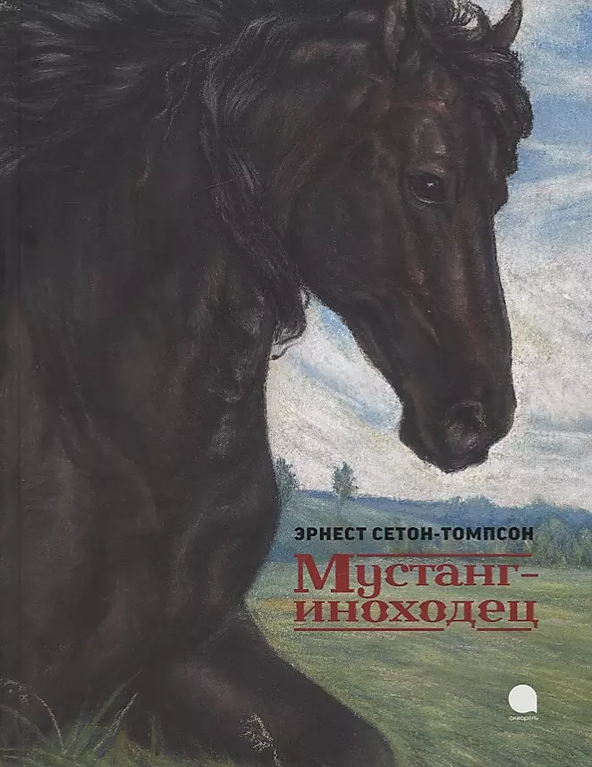 Mustang the Paced Horse