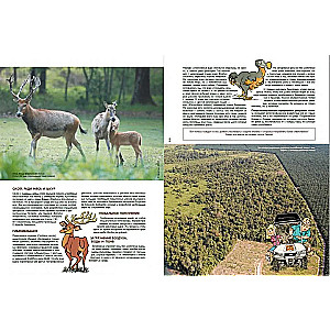 The Zoo of Extinct Animals. Volume 1