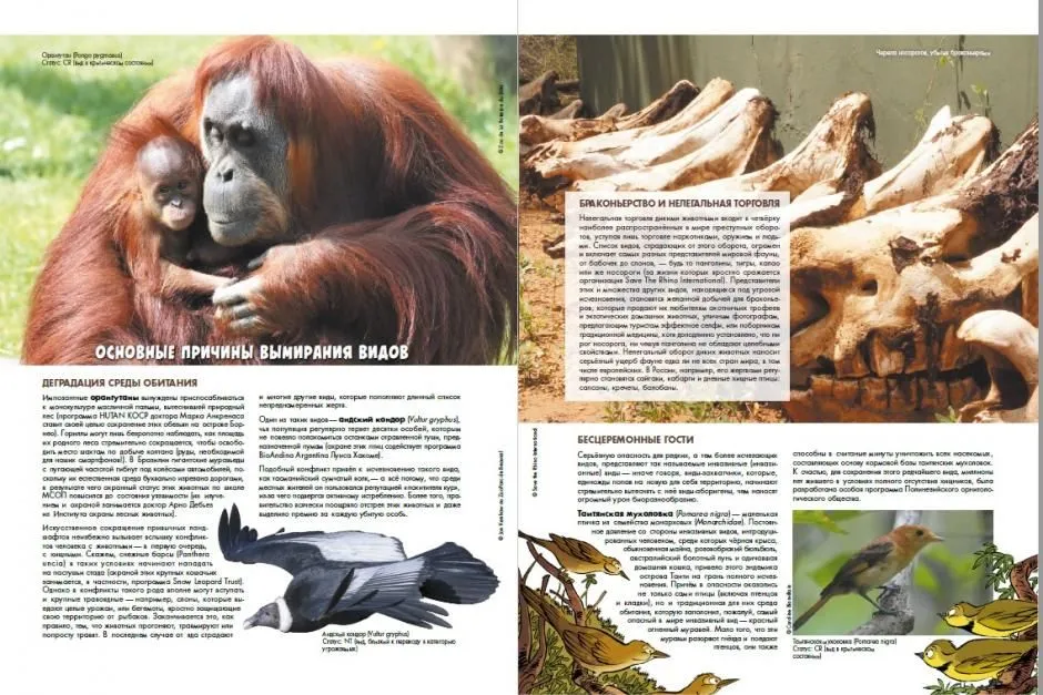 The Zoo of Extinct Animals. Volume 1