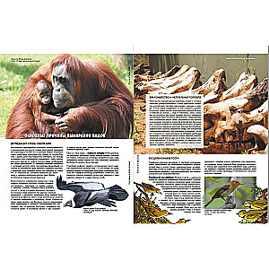 The Zoo of Extinct Animals. Volume 1