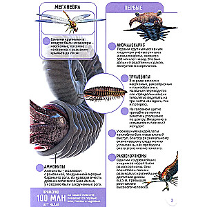 Dinosaurs. Incredible Facts