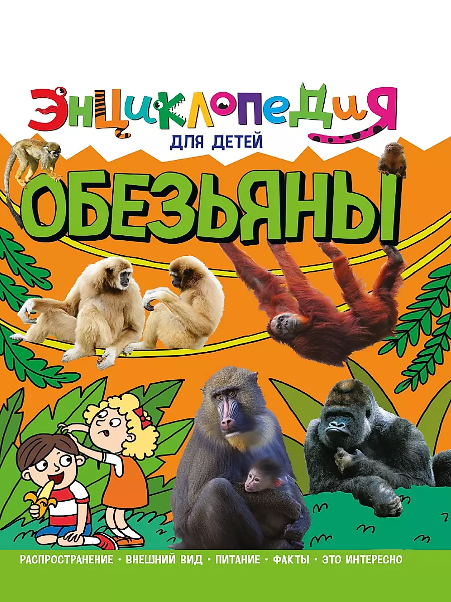 Monkeys