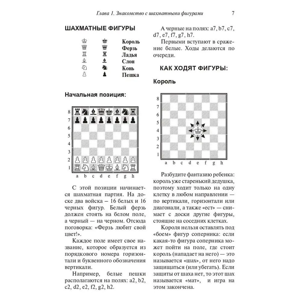 Want to learn how to play chess? Easy! A step-by-step guide for kids and parents