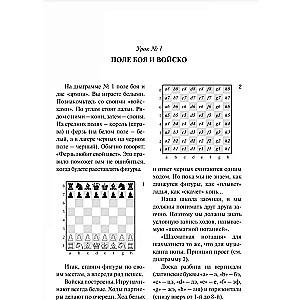 Chess Self-Taught