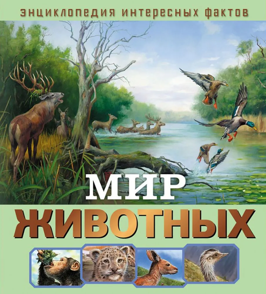 World of Animals