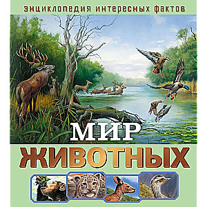 World of Animals