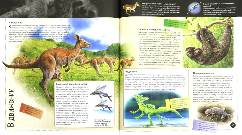 World of Animals