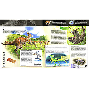 World of Animals