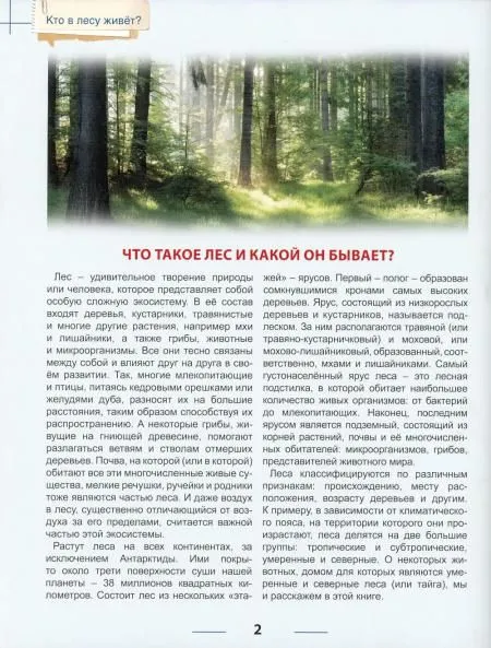 Who lives in the forest?