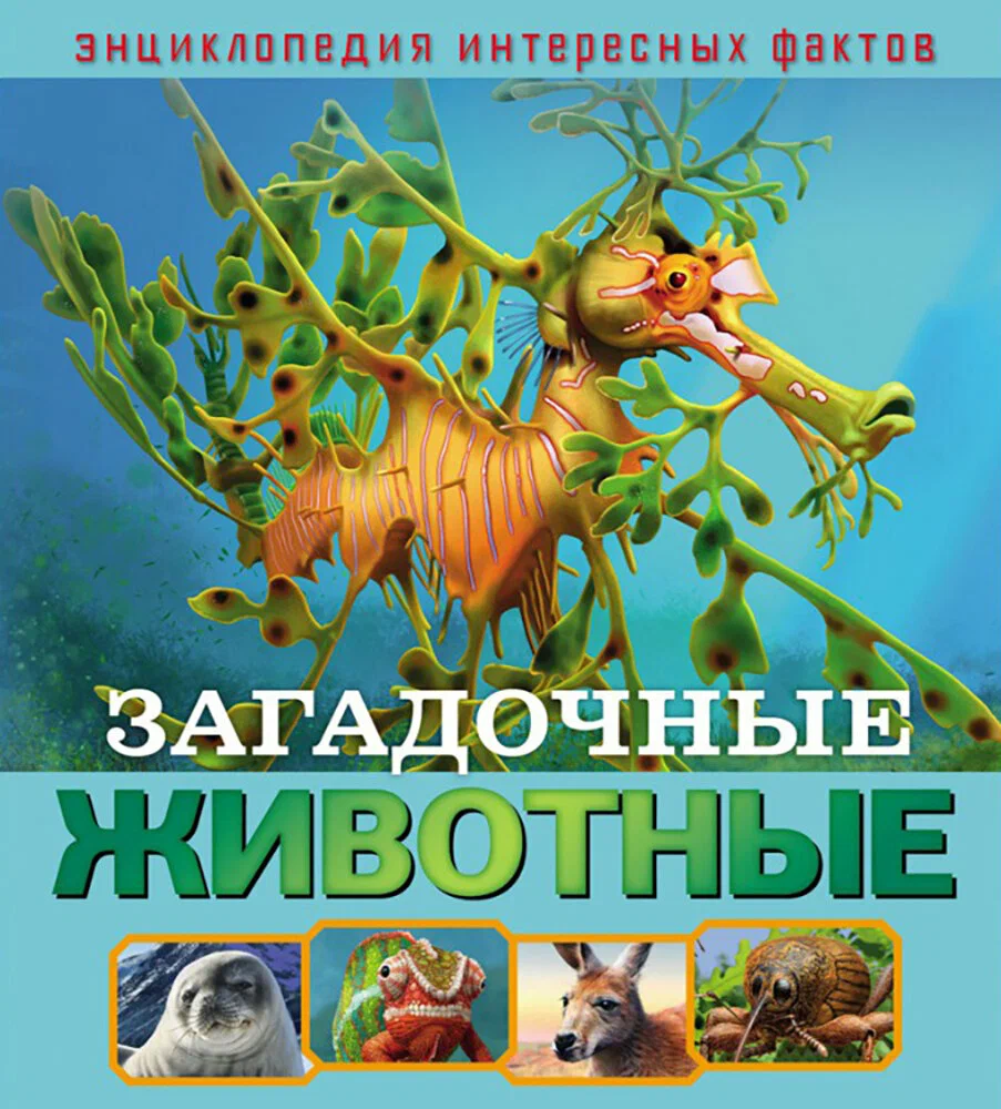 Mysterious Animals