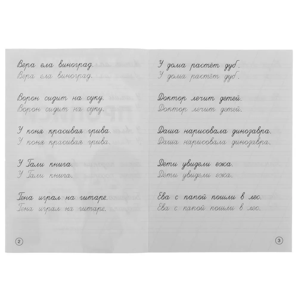 Writing Sentences
