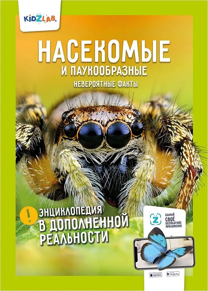 Insects and Arachnids. Incredible Facts