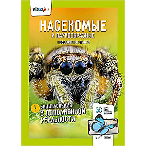Insects and Arachnids. Incredible Facts