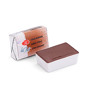 Watercolor paint artistic White Nights, 2.5 ml, Burnt Sienna