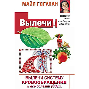 Heal the circulatory system, and all diseases will disappear!