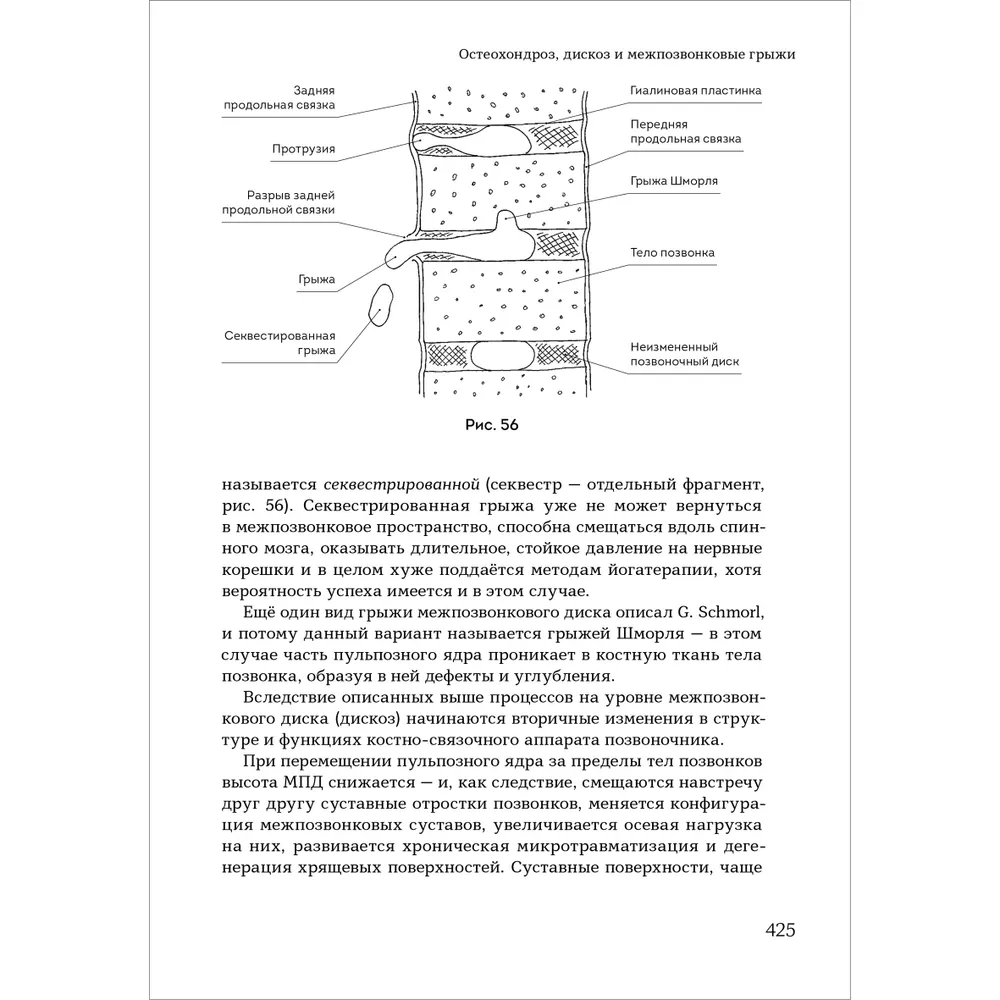 Yoga Therapy. Practical Guide. Hatha Yoga as a Rehabilitation Method