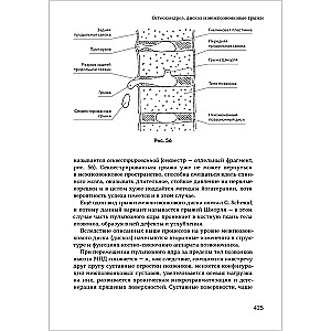 Yoga Therapy. Practical Guide. Hatha Yoga as a Rehabilitation Method