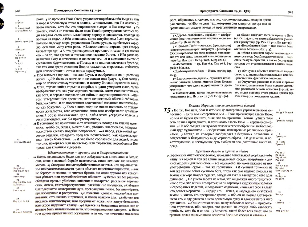 The Bible. Books of the Holy Scriptures of the Old and New Testament. In the Synodal translation with comments
