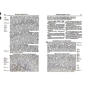 The Bible. Books of the Holy Scriptures of the Old and New Testament. In the Synodal translation with comments